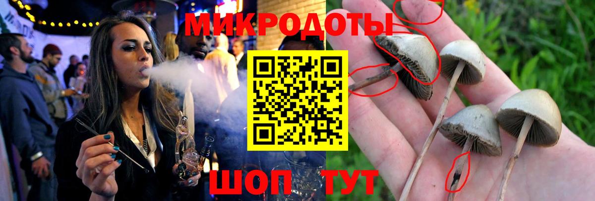 Галлюциногенные грибы ЛСД  Вход с VPN  Галлюциногенные грибы мухоморы  хочу   Сорочинск 